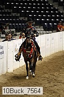 10buck_7564 thumbnail