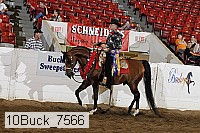 10buck_7566 thumbnail