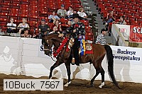10buck_7567 thumbnail