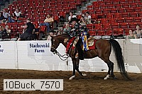 10buck_7570 thumbnail