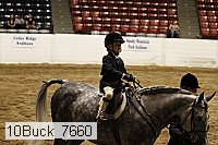 10buck_7660 thumbnail