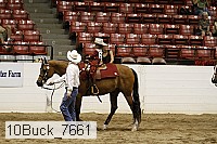 10buck_7661 thumbnail