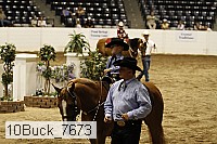 10buck_7673 thumbnail