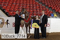 10buck_7714 thumbnail
