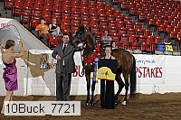 10buck_7721 thumbnail