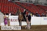 10buck_7781 thumbnail