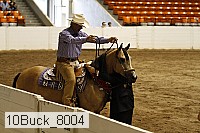 10buck_8004 thumbnail