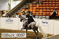 10buck_8097 thumbnail