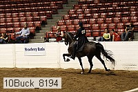 10buck_8194 thumbnail
