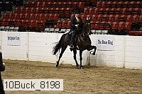 10buck_8198 thumbnail
