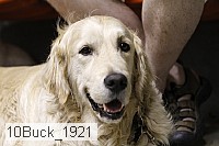 10buck_1921 thumbnail