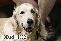 10buck_1922 thumbnail