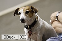 10buck_1923 thumbnail