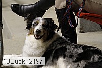 10buck_2197 thumbnail