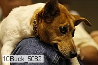 10buck_5082 thumbnail