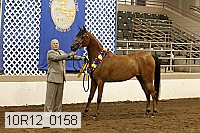 10r12_0158 thumbnail