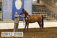 10r12_0159 thumbnail