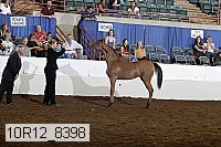 10r12_8398 thumbnail