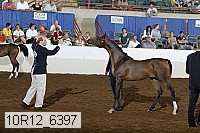 10r12_6397 thumbnail