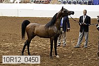 10r12_0450 thumbnail
