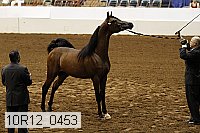 10r12_0453 thumbnail