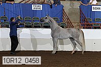 10r12_0458 thumbnail
