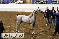 10r12_0463 thumbnail