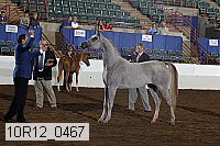 10r12_0467 thumbnail
