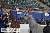 10r12_0472 thumbnail