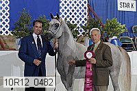 10r12_0482 thumbnail