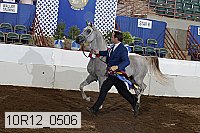 10r12_0506 thumbnail