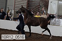 10r12_0516 thumbnail