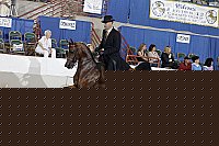 10r12_0769 thumbnail