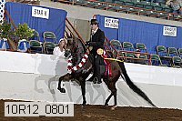 10r12_0801 thumbnail