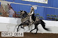 10r12_0814 thumbnail