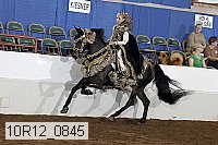 10r12_0845 thumbnail