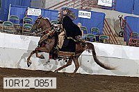 10r12_0851 thumbnail