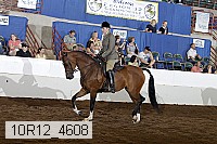 10r12_4608 thumbnail
