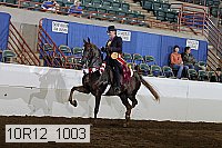 10r12_1003 thumbnail