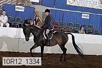 10r12_1334 thumbnail