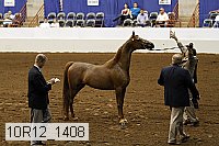 10r12_1408 thumbnail
