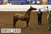 10r12_1410 thumbnail