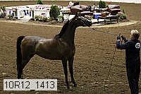 10r12_1413 thumbnail