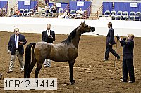 10r12_1414 thumbnail