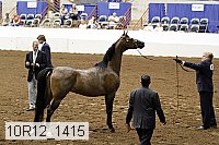 10r12_1415 thumbnail