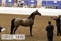 10r12_1416 thumbnail