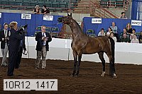 10r12_1417 thumbnail