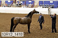 10r12_1418 thumbnail