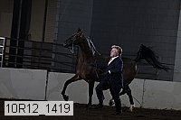 10r12_1419 thumbnail