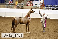 10r12_1431 thumbnail